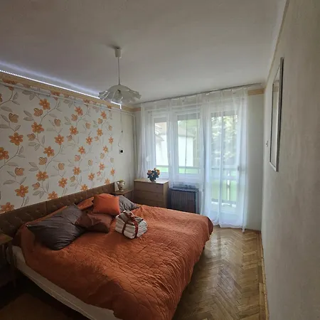 Olive * Hajdúszoboszló